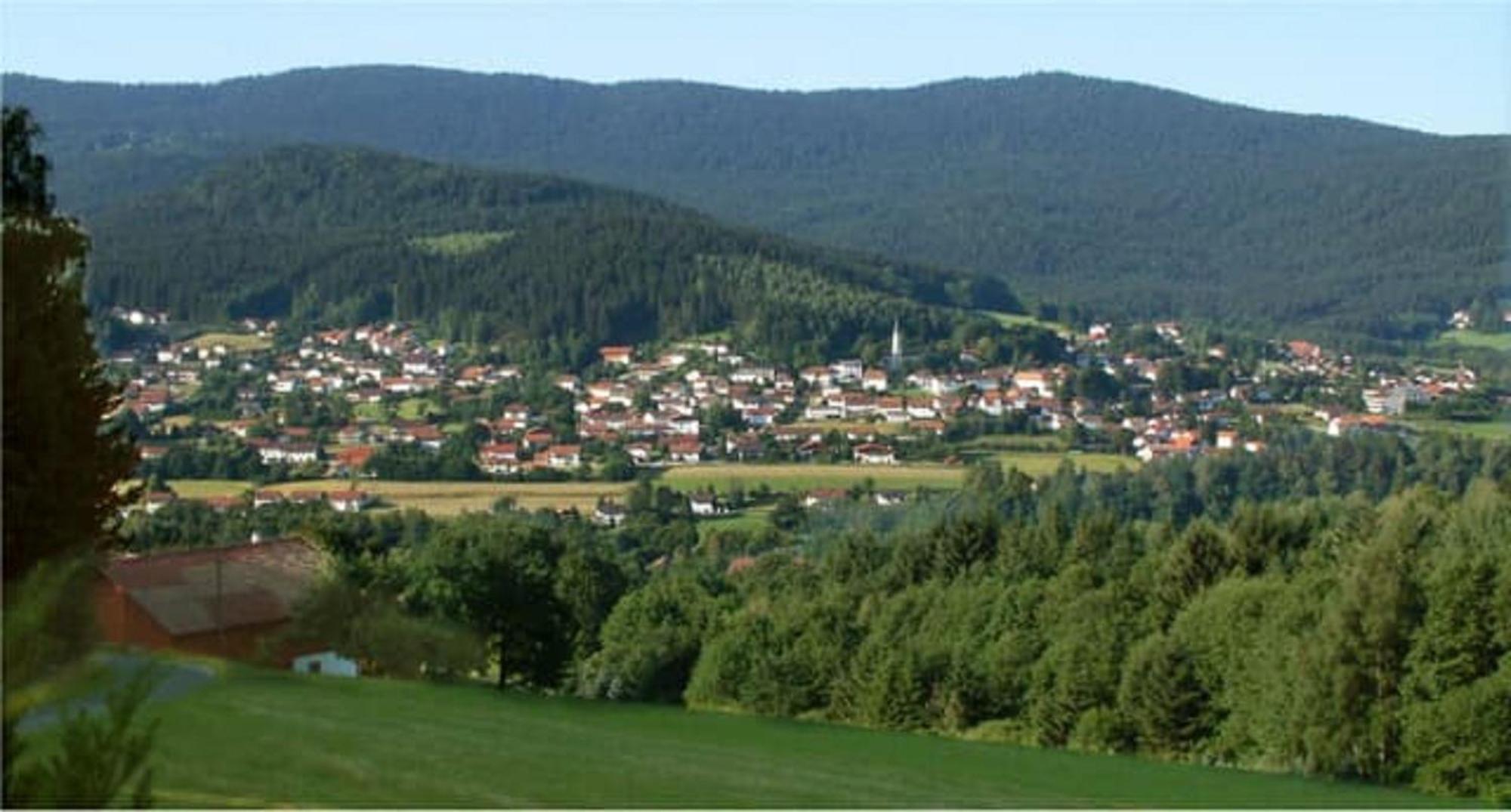 Ferienappartements-Grolik Im Aparthotel Zum Gutshof Hohenwarth Zewnętrze zdjęcie